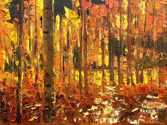 Fall  Golden Forest