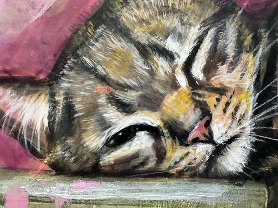 Half Asleep