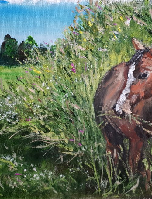 Horse in grass... /  ORIGINAL OIL PAINTING by Salana Art Gallery
