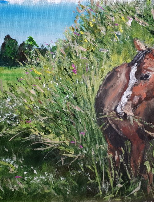 Horse in grass... /  ORIGINAL OIL PAINTING by Salana Art