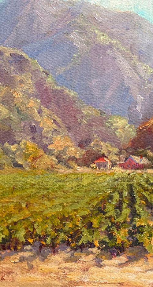 California Foothills Vineyards by Tatyana Fogarty
