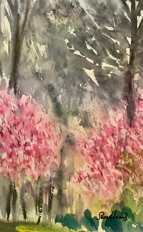 Blossoms and Winter trees