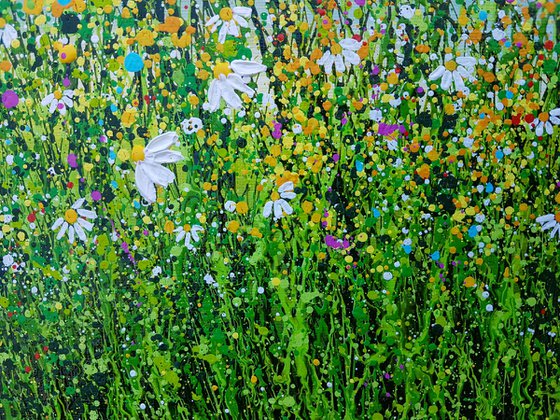 Delightful Daisy Meadows