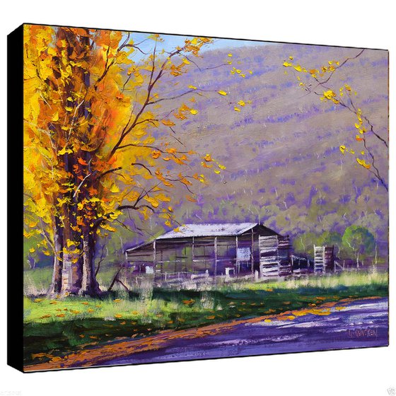 Autumn trees with farm shed