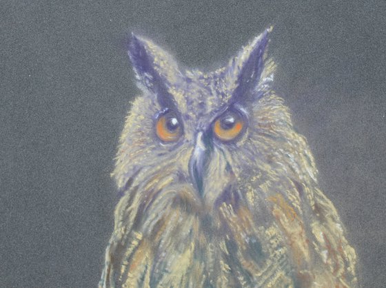 Wise Old Owl