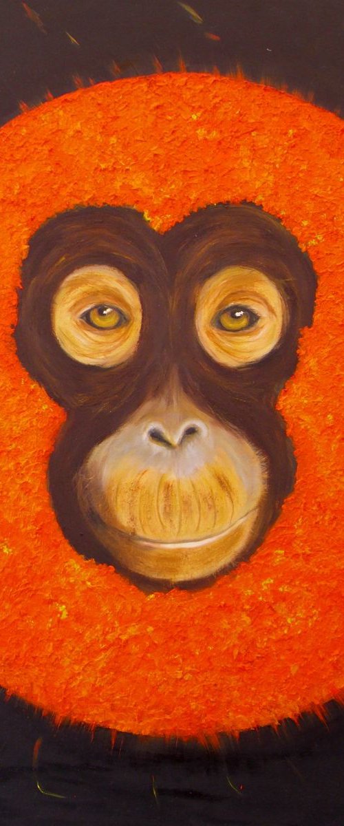 Evolution by Hazel Thomson