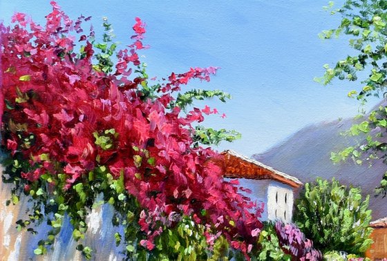 Mediterranean Street