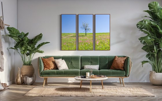 Garden View, Triptych