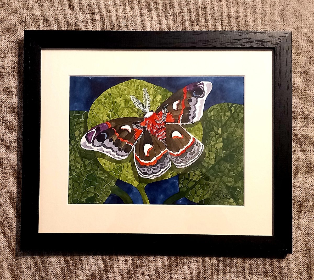 Cecropia Moth by Terri Smith