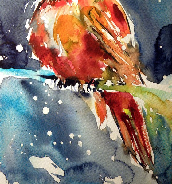 Cardinal bird