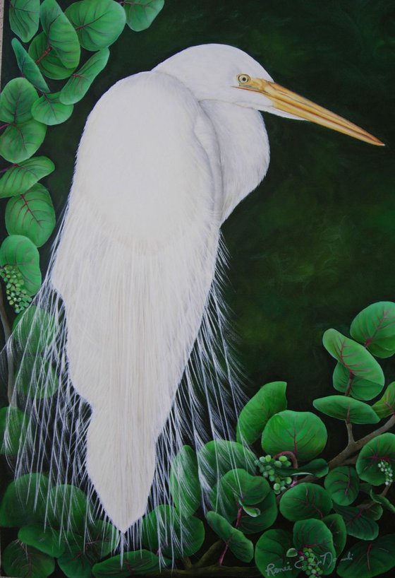 White Heron Among Aralias