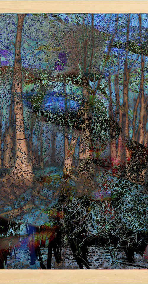 Dreamland Forrest I by Geert Lemmers FPA