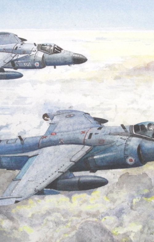 Royal Navy Sea Harriers by John Lowerson