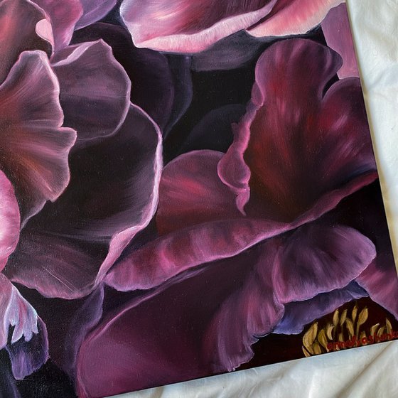 Peony Bloom