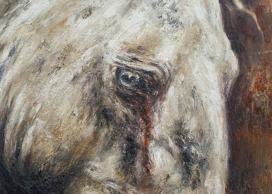 Wounded-Original Horse Portrait