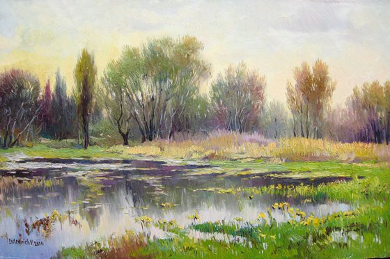 Spring landscape Ukraine Poltava region