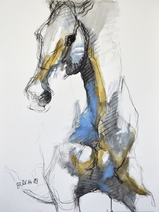 Equine Nude 4t