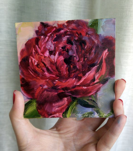 Red peony