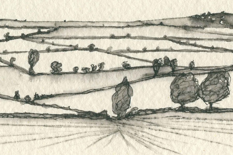 Pen And Ink Landscape Fields Hedges Traditional Artfinder,Best Drawing Programs For Tablets