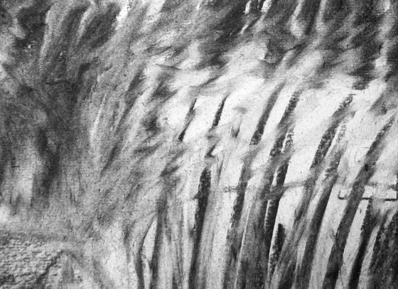 River Flow Patterns (Source)