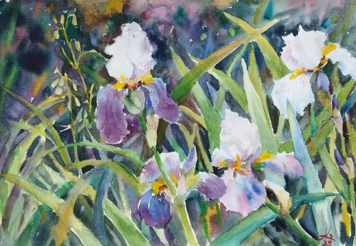 Impressionistic Botanical Watercolour By Ann Krasikova, 17 X 11, Wild Irises, Original Artwork