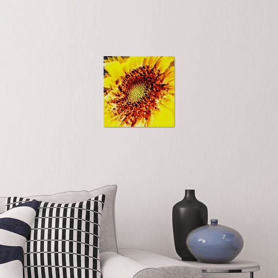 Abstract Sunflower. Limited Edition Abstract Photograph Print  #1/50. Closeup of a sunflower abstraction.