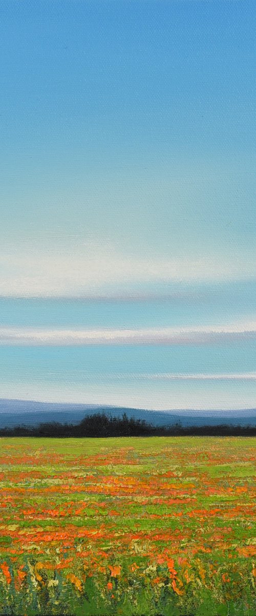 Flower Field - Blue Sky Landscape by Suzanne Vaughan