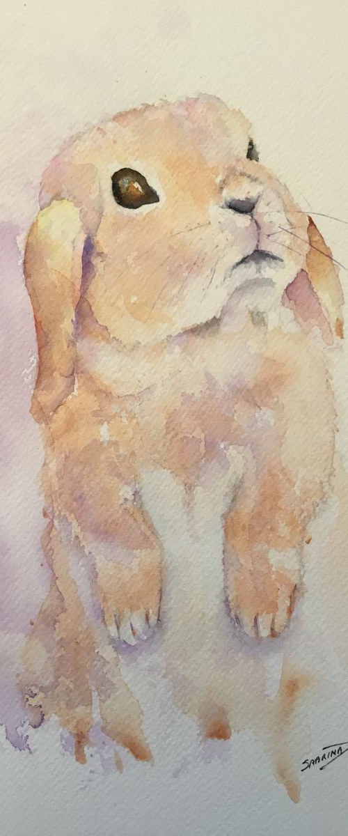 Mr. Rabbit by Sabrina’s Art