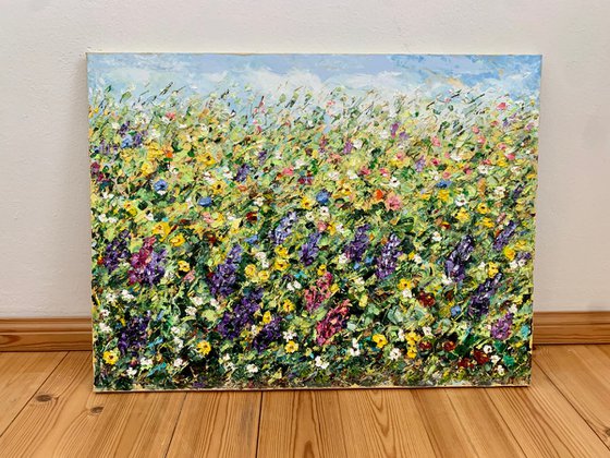 Field of blooming lupines