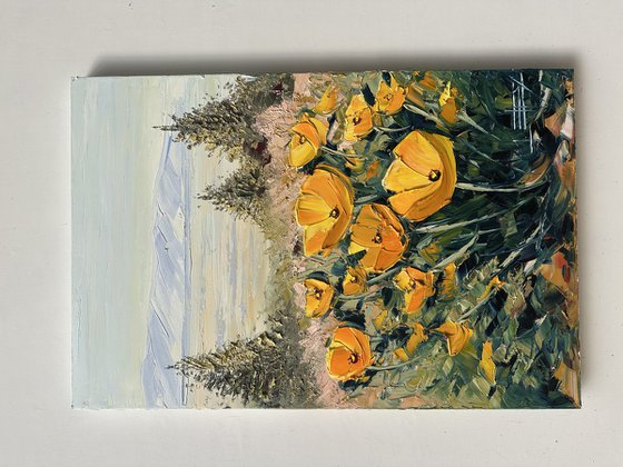 Monterey in Bloom
