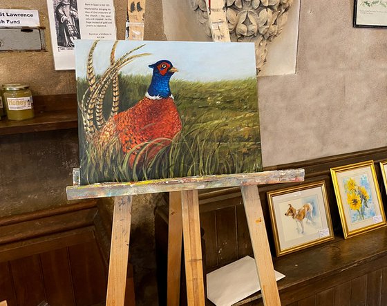 Pheasant Under Foliage