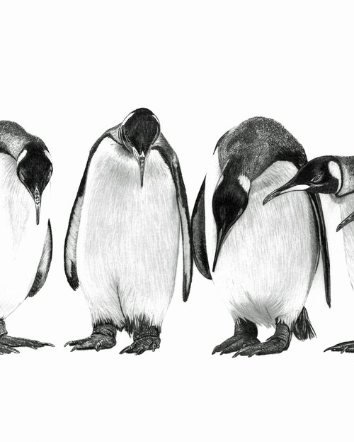 Penguin Conference by Paul Stowe
