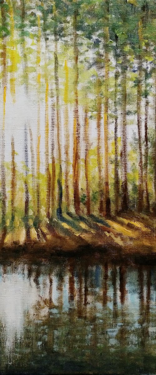 Forest Lake 3 by Oleh Rak