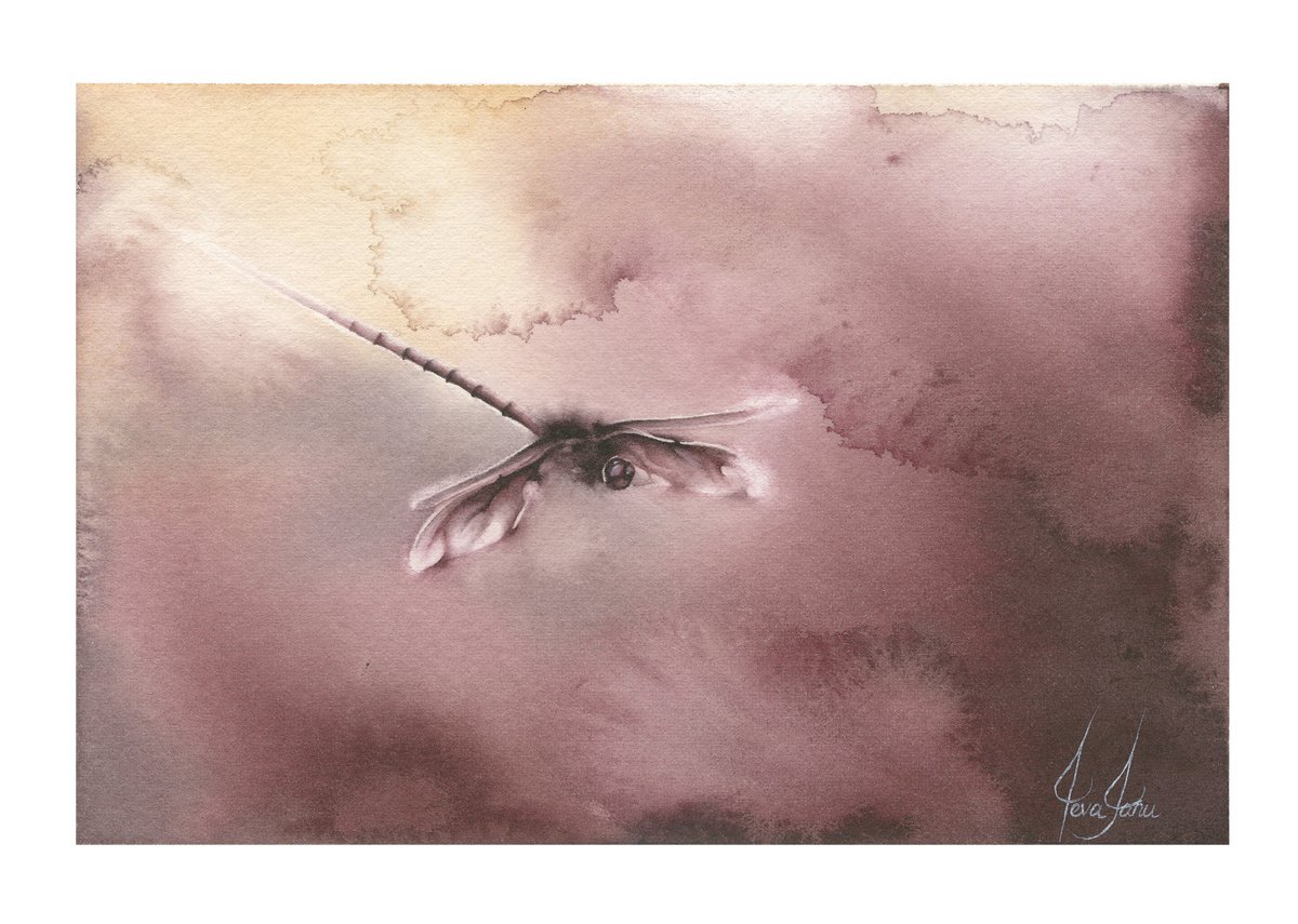 Glimpse X - Sunset Dragonfly Watercolor Painting by ieva Janu