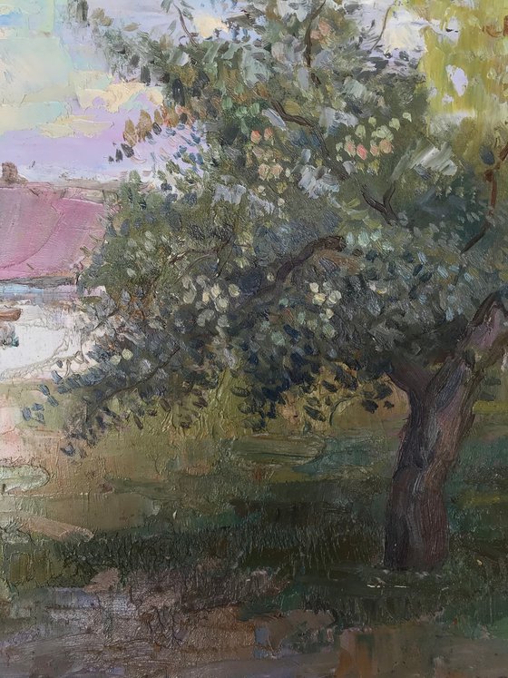 Apple tree in Shevchenkove