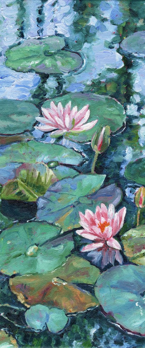 Water Lilies on the Pond by Zoe Elizabeth Norman