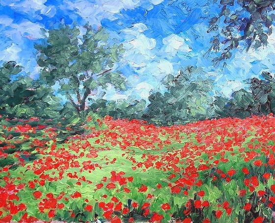 poppy field 4