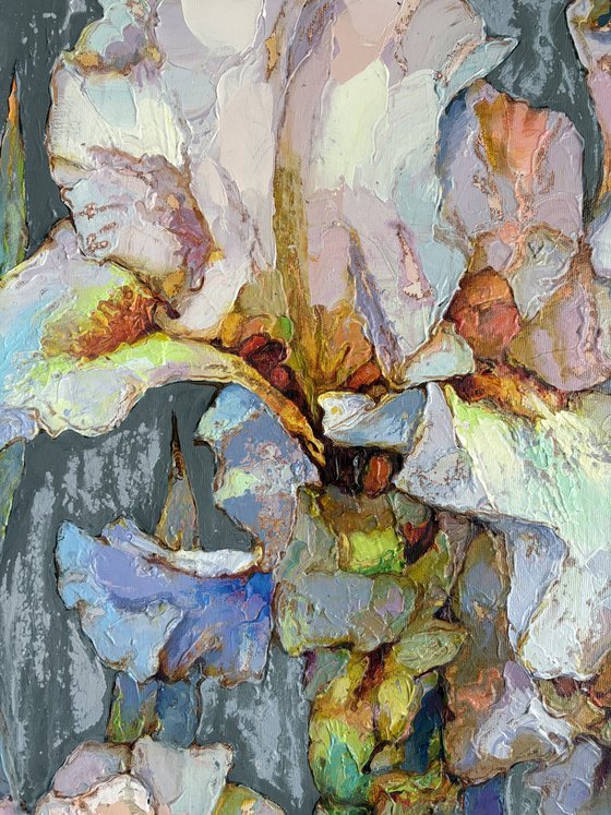 Irises on a gray background.