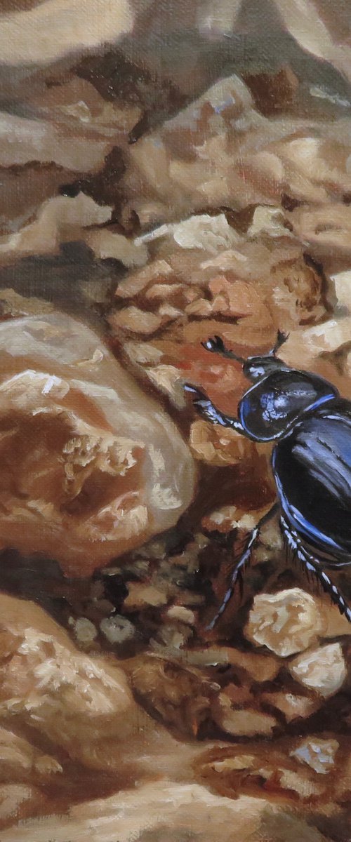 Dung Beetle by Anne Zamo