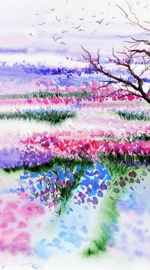 Keukenhof Fields by Ksenia Astakhova
