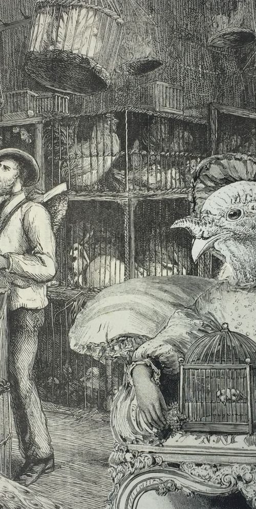 His Fowl Companions by Tudor Evans