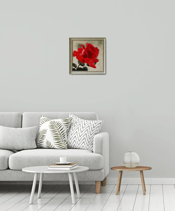 "Scarlett" red  rose flower  liGHt original painting  GIFT (2017)