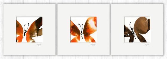 Butterfly Joy Collection 9