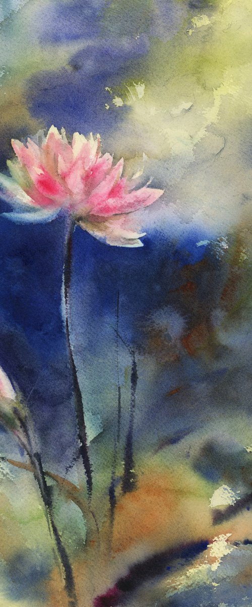 Pink Water Lily by Sophie Rodionov