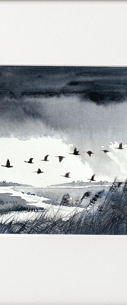 Monochrome rain clouds ducks by Teresa Tanner