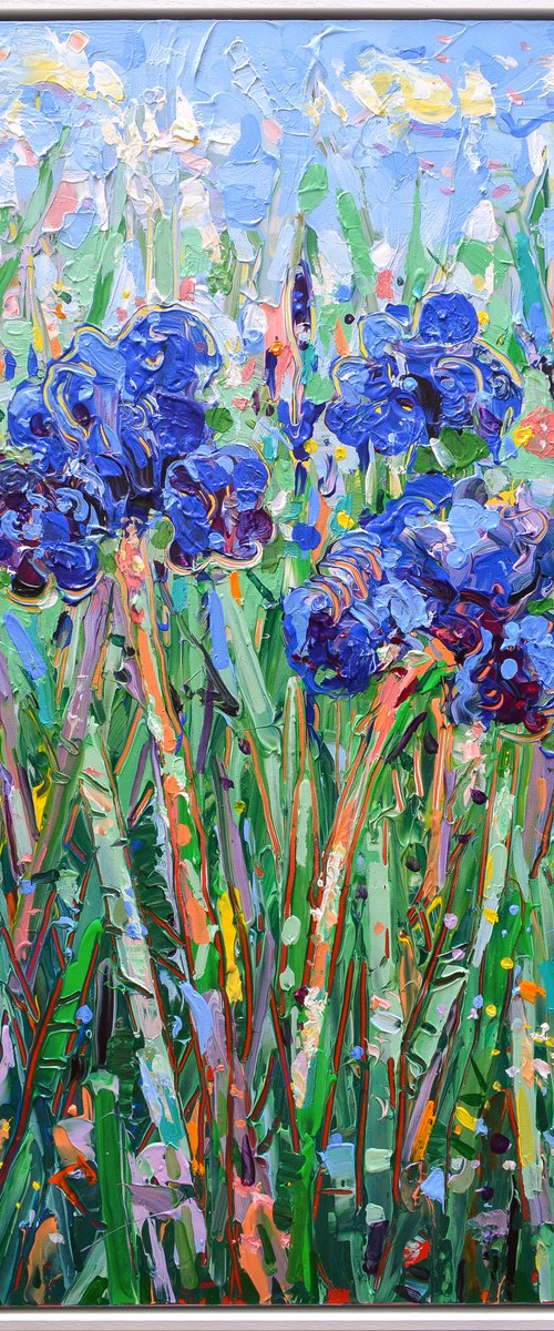Blue Irises 4 - Framed by Joseph Villanueva