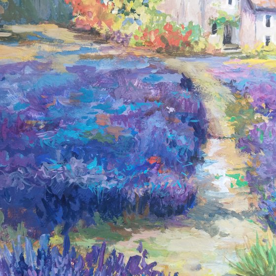 Lavender field