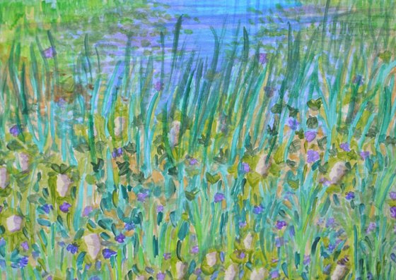 Reed beds, Nature Reserve, Norfolk