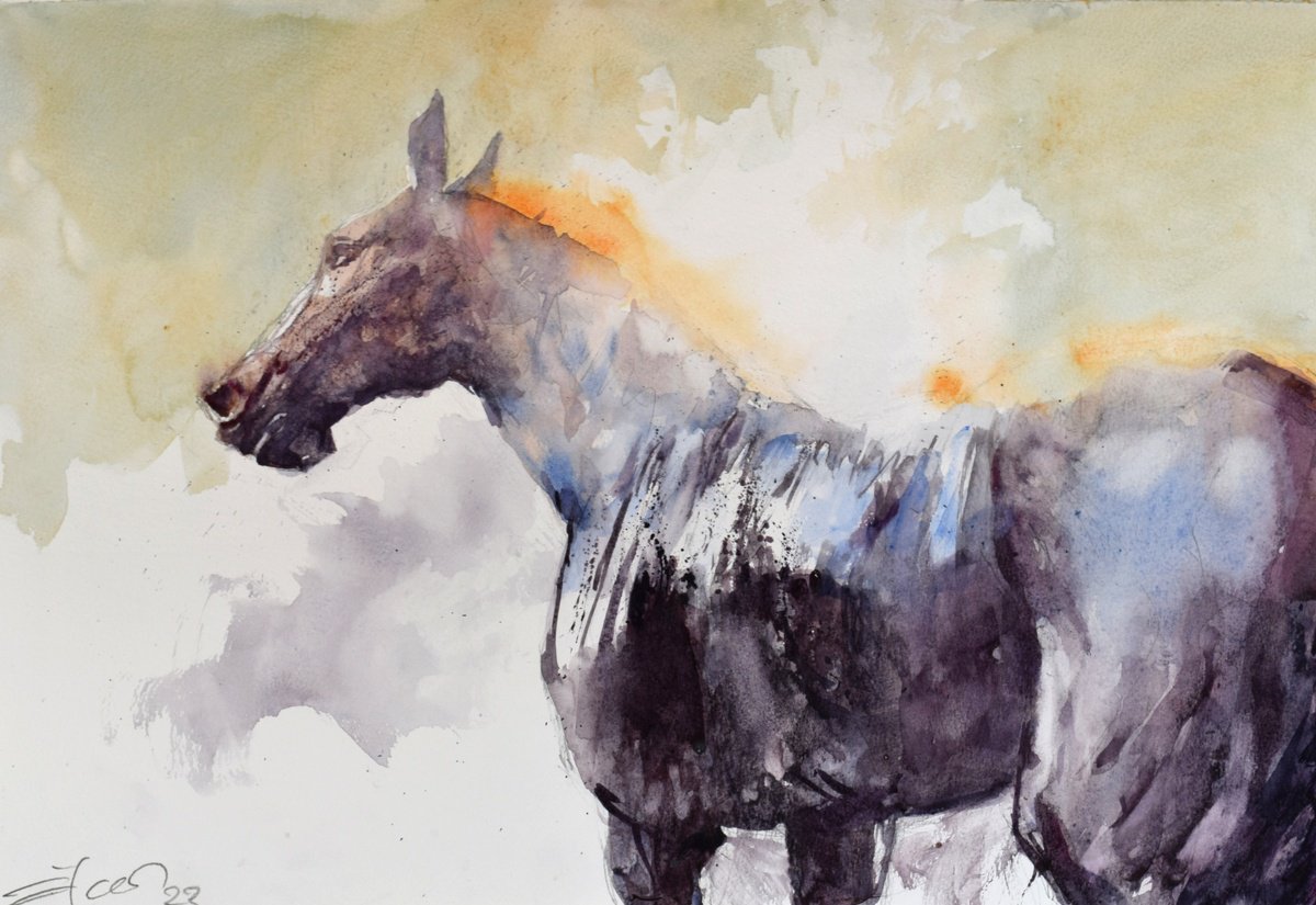 Horse steam 7 by Goran igoli? Watercolors