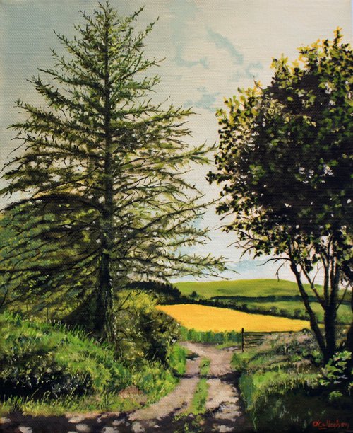 Field  of Gold by John O'Callaghan